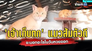 'เจ้าเก็บตก' แมวส้มตัวดี จะบอกอะไรในวันหวยออก