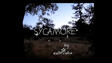Sycamore (Music Video)