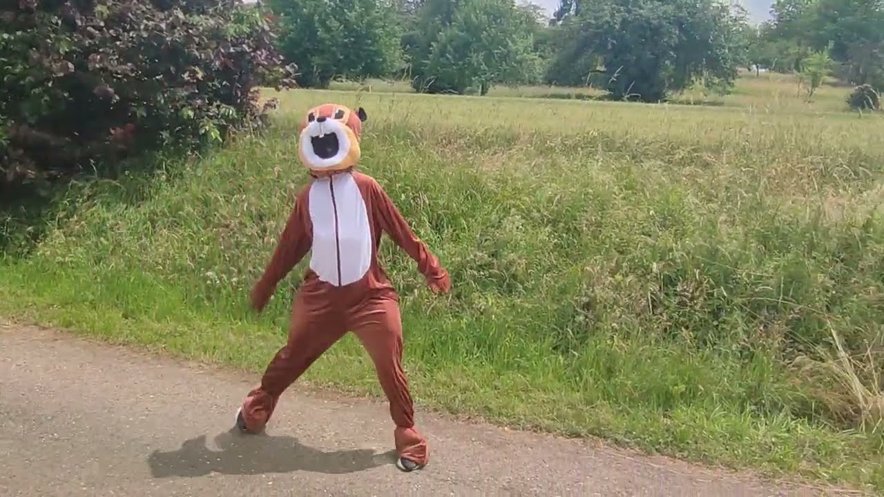 Gölshäuser Fitness-Trail, Station 1: Seitgalopp!