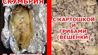 Скумбрия в духовке с грибами и картошкой Скумбрия в духовке с грибами и картошкой