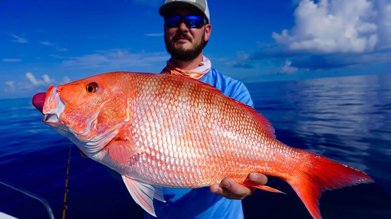 Deep Fishing | HUGE Red Snapper and Red - YouTube