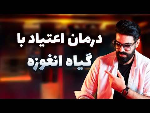 انغوزه چیست ترک اعتیاد با معجزه گیاه انغوزه