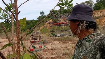 2 pikat solo mengegar serindit Port keras tompinai.