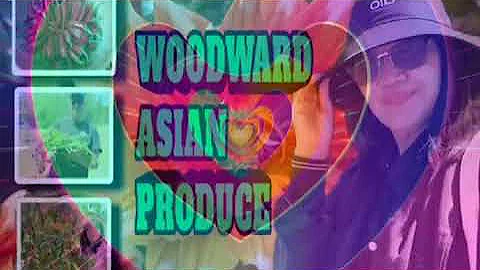 My New Channel Intro Hits 2025