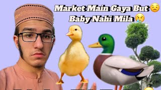 Aaj Market Gaya But ☹️ || Baby Nahi Mila || Shehr Main Dihat || Mansoor Pets World