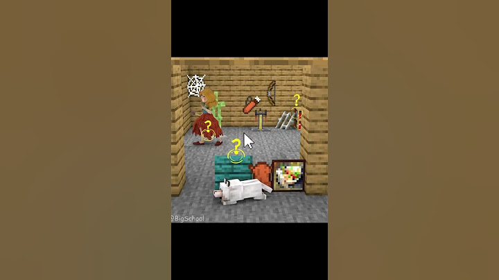 Choose The Right Item To Cover To Help The Dog Escape From Miss Delight | BabyDoge