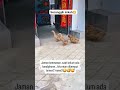 kayak kita dulu ya kalau main pasti jemput sana sini 🤣🤣🤣🥀🌿🌿🥀🥀🌿