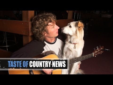 nature's domain small breed