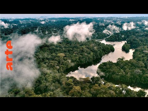 Video: Stinkende Mapinguari - Horror Des Amazonas - Alternative Ansicht