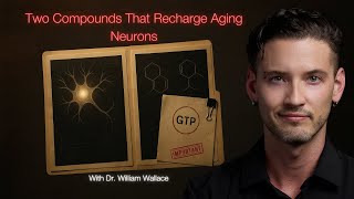 Two Compounds That Recharge Aging Neurons