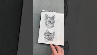 Draw cats with me! #drawingprocess