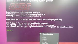 Working of Mininet with ONOS video chunk 3 screenshot 5