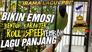 BIKIN LAGU CEPAT MASUK❗CUCAK IJO TERPANCING EMOSI & BENTUK KARAKTER IRAMA LAGU 'ROLL TEMBAK' PANJANG