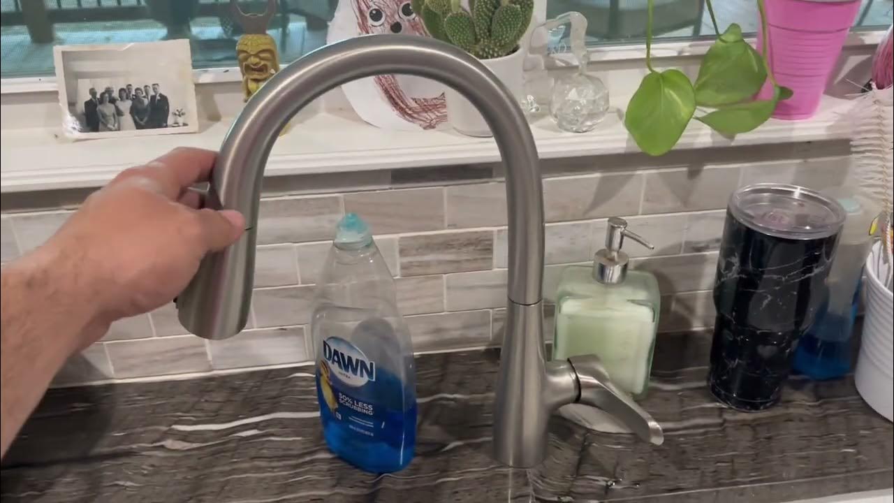 The Truth About The Delta Dunsley Kitchen Faucet Real Review! YouTube