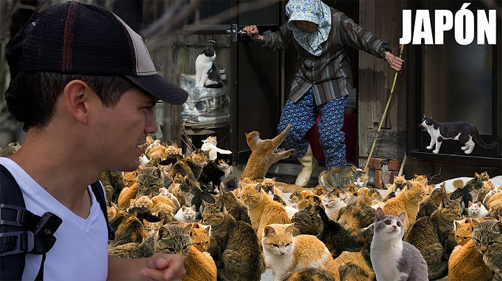 La remota isla donde viven MÁS GATOS que gente 😳
