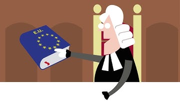 XT Orange®, the new standard in pallet load stabilisation