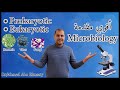 مقدمة علم الاحياء الدقيقة شرح مايكروبيولوجي Microbiology Introduction مقدمة علم الاحياء الدقيقة شرح مايكروبيولوجي Microbiology Introduction