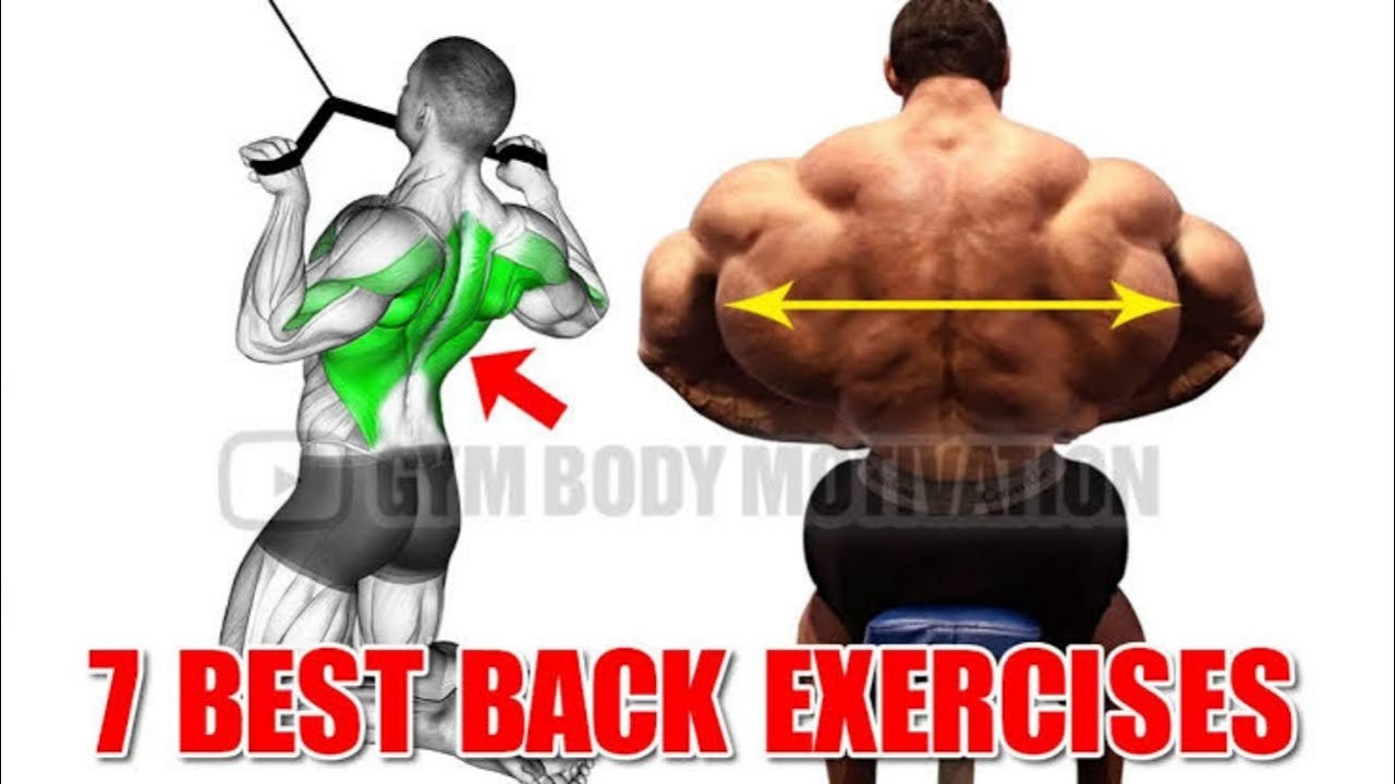 8 Effective Exercises to Build a Big Back Fast - YouTube