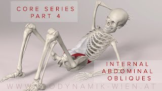 Core Series Part 4: Internal Abdominal Obliques Muscles (3D Animation)