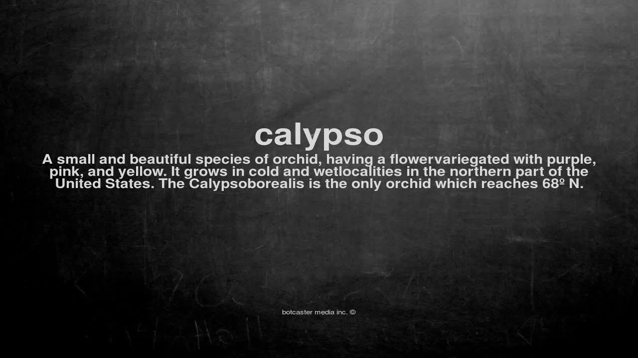 What does calypso mean youtube