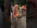 توحشنا حنان ماهيش تبان عبدو وجماعتو الجزاءر Abdou توحشنا حنان ماهيش تبان عبدو وجماعتو الجزاءر Abdou