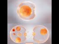Exosome A #cinema4d #animation #cinema4dtutorial #digital #3dmodelingsoftware #news