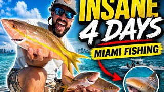 INSANE 4 Days Fishing Miami (Snapper, Sharks & Hidden Paradise!)