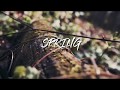 Spring on SONY a6500 35mm F1.8 + Zhiyun Crane Plus