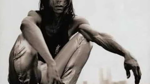 IGGY POP   "Private Hell"