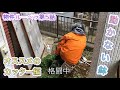 第5話『動かない鉢』オススメのカッター編【タワマンのDIY日記】