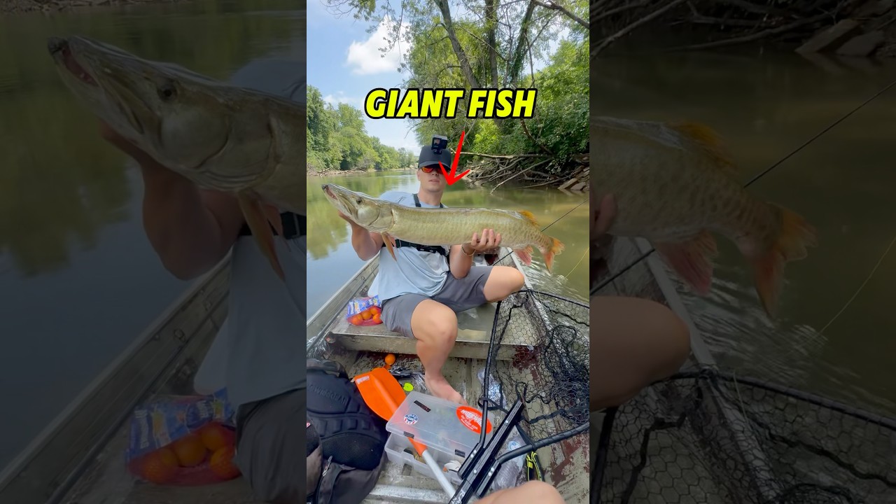 Fishing Giant Dam For Giant Fish!