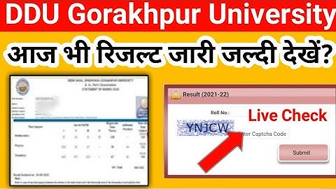 DDU Gorakhpur University ने आज भी रिजल्ट जारी किया जल्दी देखें