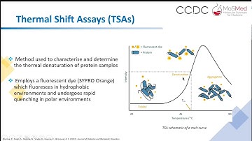 From fragment-screening to fragment-growing - new strategies for drug discovery.