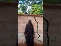 AFRICAN SUPERMAN  ENTERED WALL#viral #viralvideo #youtubeshorts #action#army #highlights