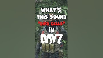 What’s This Sound in DayZ? #dayz #shorts