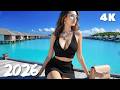 Moonlit Wave Balance 🌙 Chill Deep House Tropical Summer Calm Flow State 4K UHD 2026 | Lunar Groove