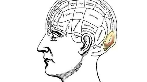 We are what we remember: memory and the biological basis of individuality