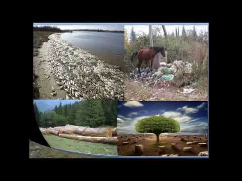 ადამიანი და გარემო