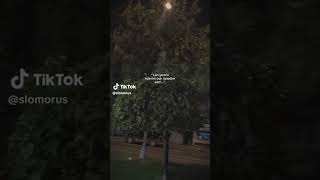 Özledim...