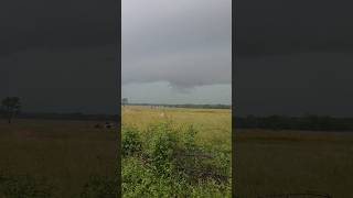 Tornado Warned Storm. #shorts #storm #tornado #meteorology