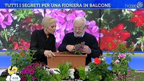 Cosa mettere sul fondo di una fioriera?