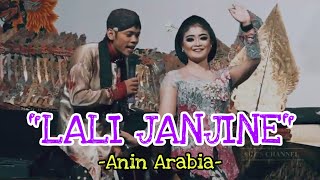 LALI JANJINE - ANIN ARABIA