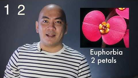 Mathematics in Our World