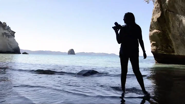 Alicia Richardson ISA Dunedin: The Land We Call Zea