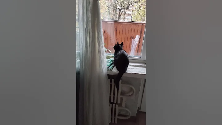 It's very interesting there, just cold) #cats #cat #ole7 #lastyona #catfeika #cat #cats #animals