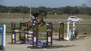 Buck Davidson & Carlevo Adv SJ