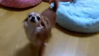 MOV 3049
