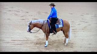 Modern Gun Cade Mccutcheon - 2022 The Run For A Million