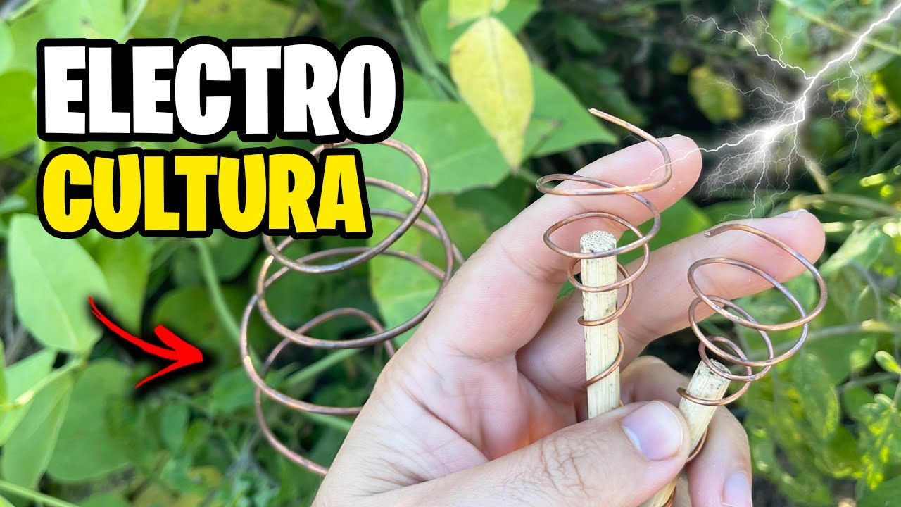 ¿Esto FUNCIONA? ⚡ El PODER de la ELECTROCULTURA para Cultivos Mas GRANDES | La Huerta de Ivan