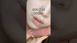 봄웜라 필수 시청🧡